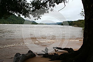 Rio Caura 2 photo