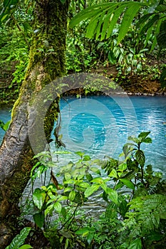 Rio Celeste a blue volcanic river - Arenal day trip Views around Costa Rica photo