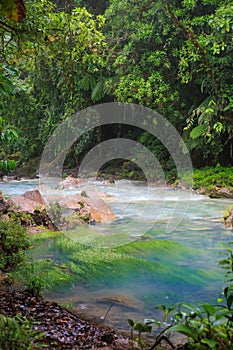 Rio celeste and lush rainforest