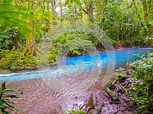 Rio Celeste photo