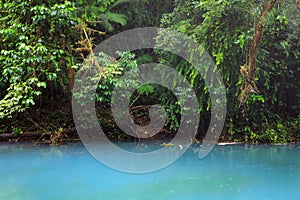 Rio celeste and vegetation