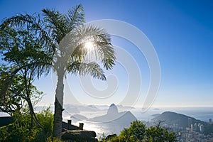 Rio de Janeiro Brazil Sunrise Palm Tree Sugarloaf Mountain photo