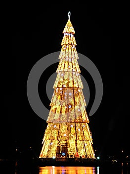 Rio de Janeiro?s christmas tree