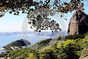 Rio de Janeiro seen from the hill of Pao de Acucar Sugar Loaf. Green vegetation and in the background the city of Niteroi,