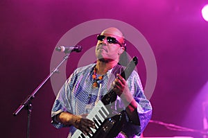 Singer Stevie Wonder