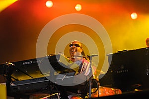 Singer Stevie Wonder