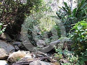 Rio national park henry pitier nature and walking