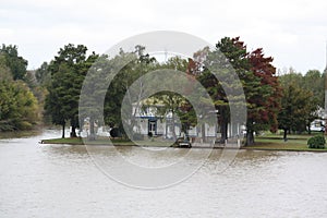 Rio-Parana in Argentina .Shore life photo