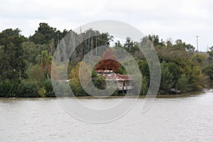 Rio-Parana in Argentina .Shore life photo