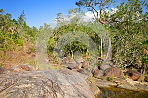 Rio on Pools in Mountain Pine Ridge Forest Reserve, Belize