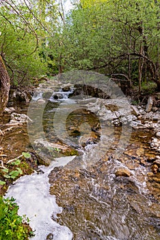 The Rio Verde River. This river originates in Quarto, between Abruzzo and Molise