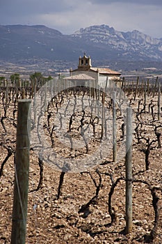 Rioja photo