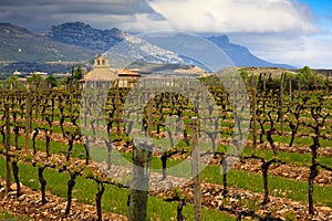 Rioja Winery