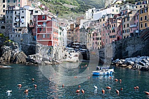 Riomaggiore - Cinque Terre