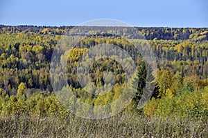A riot of colors in the Ural forest. Autumn is in full swing in the foothills of the Western Urals. Natural background for graphic