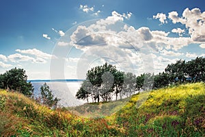 The riot of summer-trees and meadow over the edge of the Volga River Russia in the summer noon