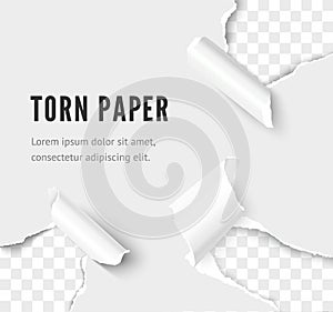 Rip paper corner set vector realistic illustration