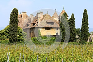 Chateau de Ripaille and vineyard, Ripaille, Haute Savoie, France photo