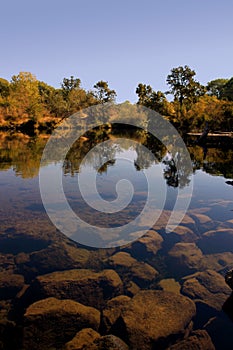 Riparian Reflection