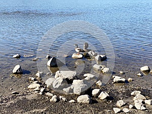 riparian river rocks low tide water edge ocean wave rocks lake shore riverbank