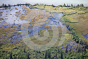 Riparian sub-arctic boreal forest wetland aerial photo