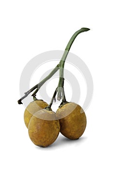 Ripe acera or betel palm nut fruit with path photo