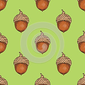 Seamless Pattern with Ripe Acorn
