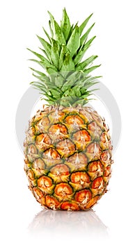 Ripe ananas fruit with green leaves