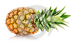 Ripe ananas fruit with green leaves