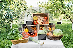 ripe appetizing ecological vegetables in boxes