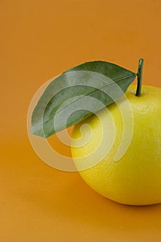 Ripe appetizing grapefruit