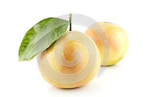 Ripe appetizing grapefruit