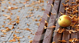 Ripe apple and autumn leaves on a wood bench