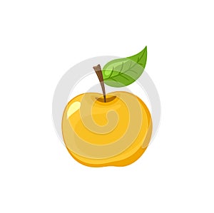 Ripe Apple Fruit with Leaf on Top Icon Vector