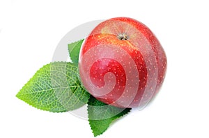 Ripe apple with leaf isolated