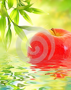 Ripe apple reflected in water