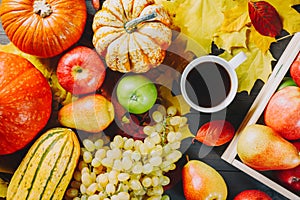 Ripe apples in a box with pumpkins, apples, grapes, pears and cup of coffee on dark wooden background. Autumn seasonal image. Top