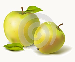 Ripe apples with leaves
