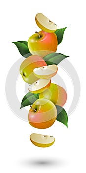 Ripe apples with leaves. Whole fruits and cut into pieces. Vector illustration.