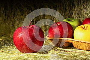 Ripe apples on straw close-up
