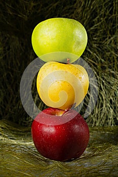 Ripe apples on straw close-up