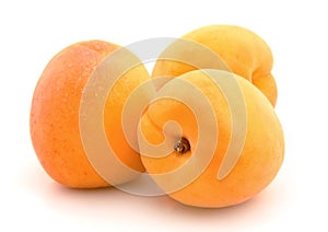 Ripe apricot