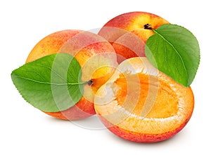 Ripe apricot fruit with apricot leaf on white background