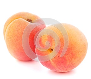 Ripe apricot fruit