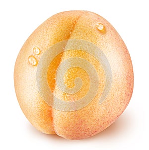 Ripe apricot fruit with water drops.