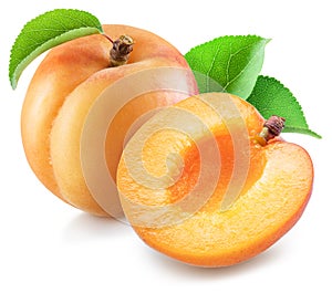 Ripe apricot with green leaf and apricot half on white background. File contains clipping path