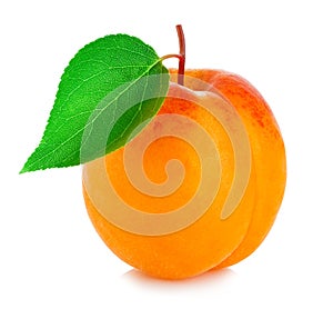 Ripe apricot with leaf close-up isolated on a white background