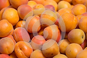 Ripe apricots