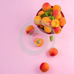 Ripe apricots in a bowl on pink paper summer background copy space, square image