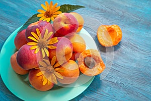 Ripe apricots decorated with yellow flowers